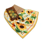 ახალი კოლექცია - ნაკრები მზესუმზირები